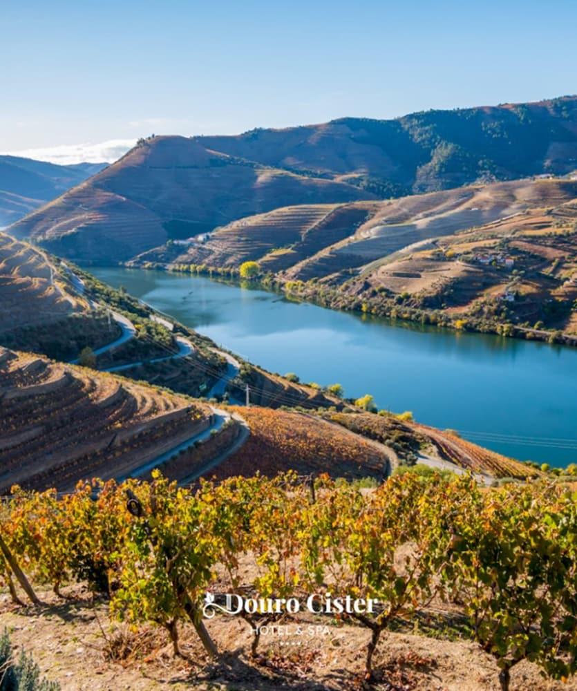 Douro Cister Hotel Resort Ucanha Экстерьер фото