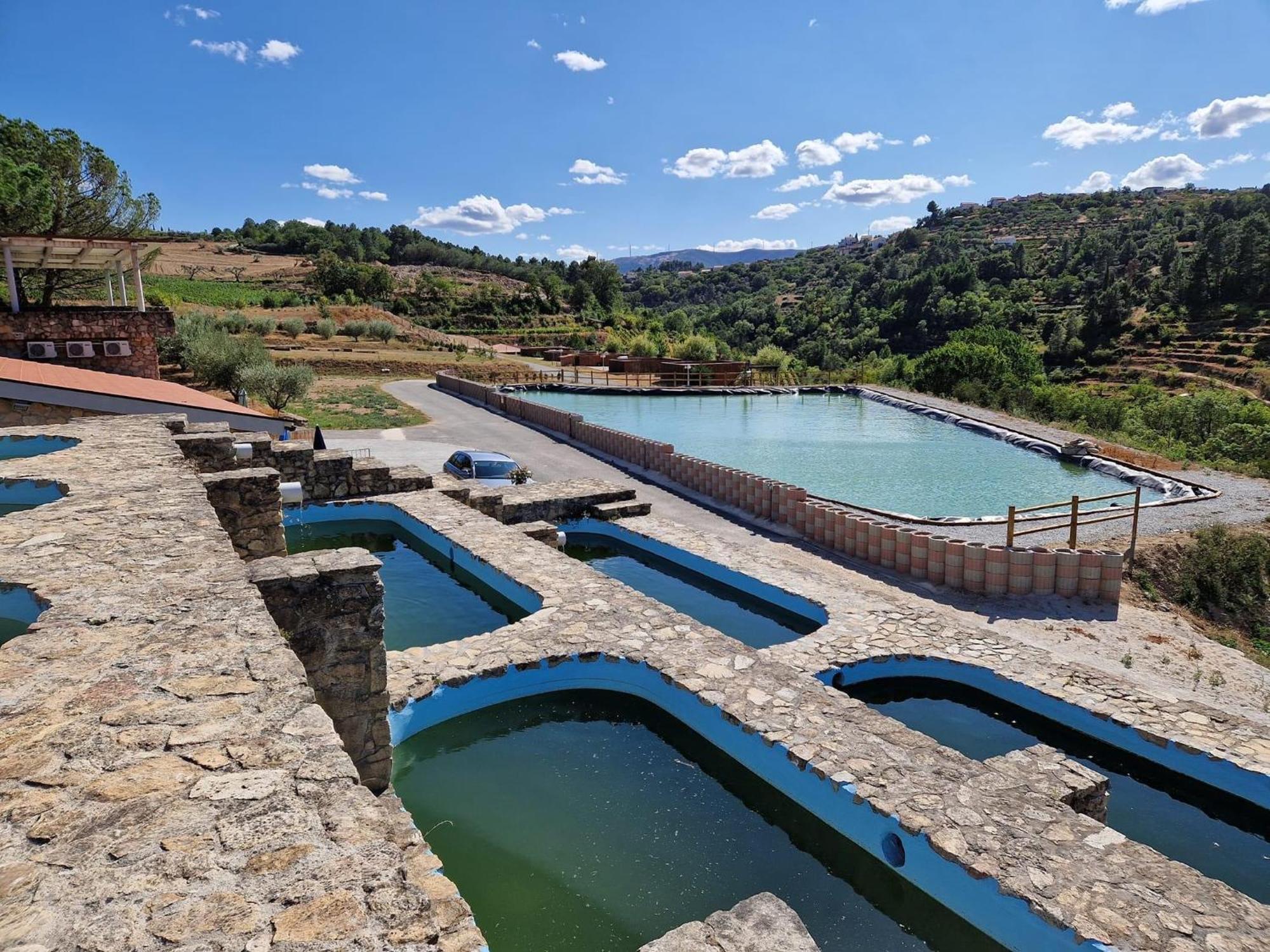 Douro Cister Hotel Resort Ucanha Экстерьер фото
